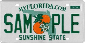 Florida Regular License Plate